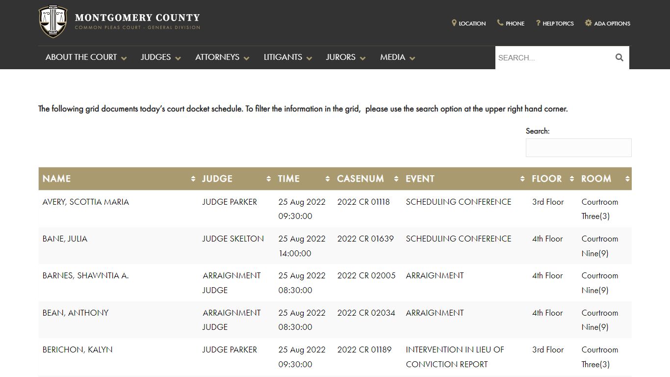 Specialty Docket – Montgomery County Common Pleas Court